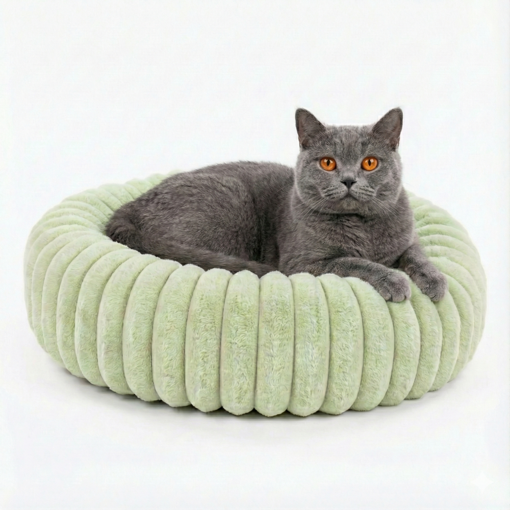 Emotional Support Bed