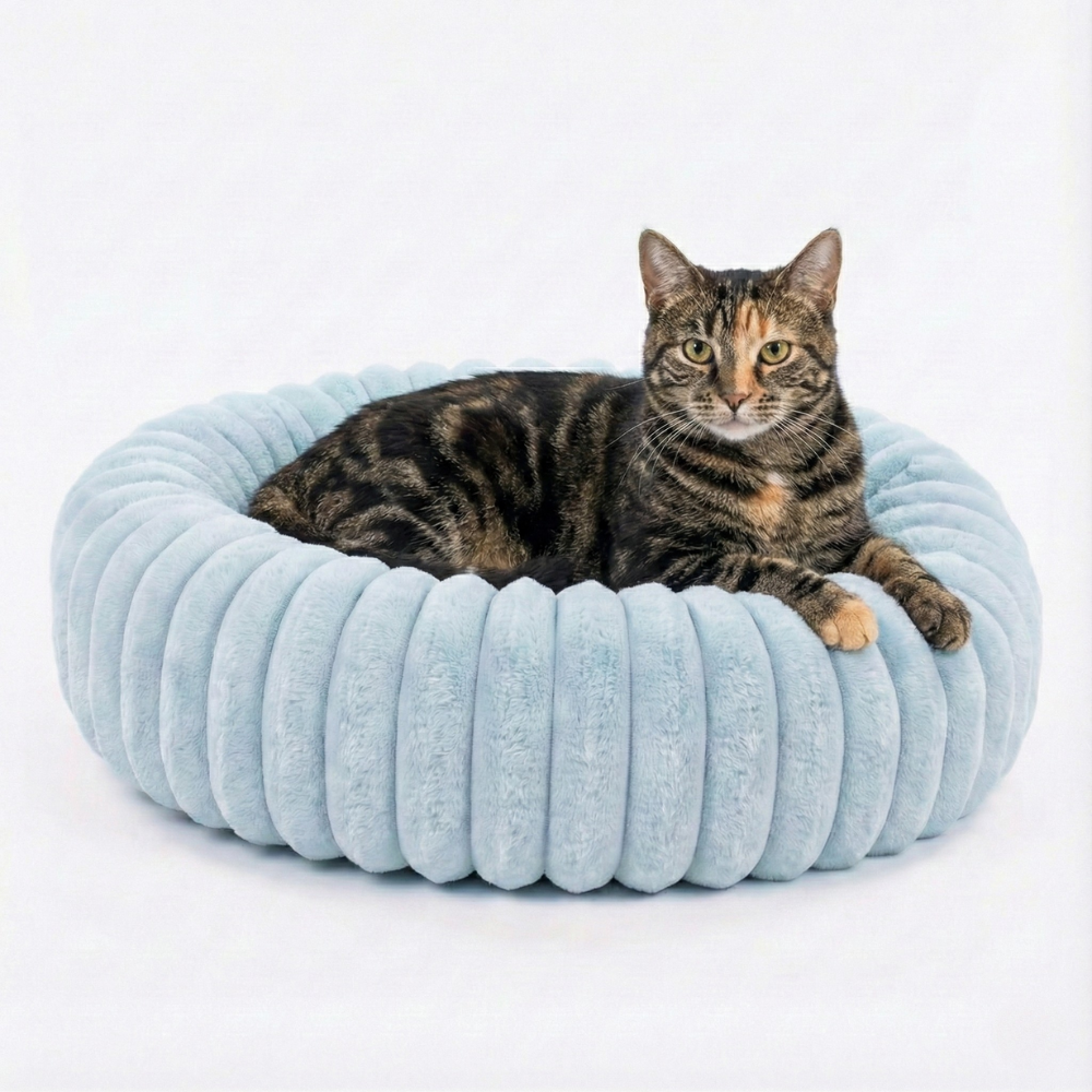 Emotional Support Bed