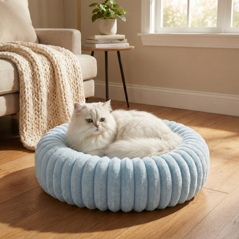 Emotional Support Bed